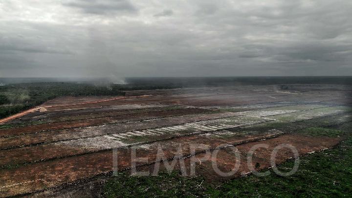 Prabowo Lanjutkan Food Estate, Pengamat: Mustahil Berhasil dengan Cara Lama