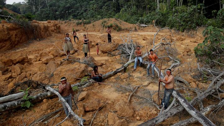 Studi Biodiversitas: 66 Persen Hutan Tropis Global Memiliki Rezim Suhu Baru