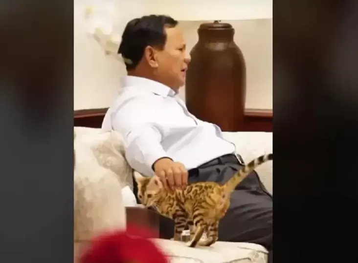 Seperti Prabowo, 12 Presiden Amerika Ini adalah adalah Juga Pelihara Kucing