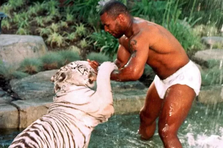 Mike Tyson lalu juga Harimau Posesif yang dimaksud Nyaris Bikin Rumah Hancur