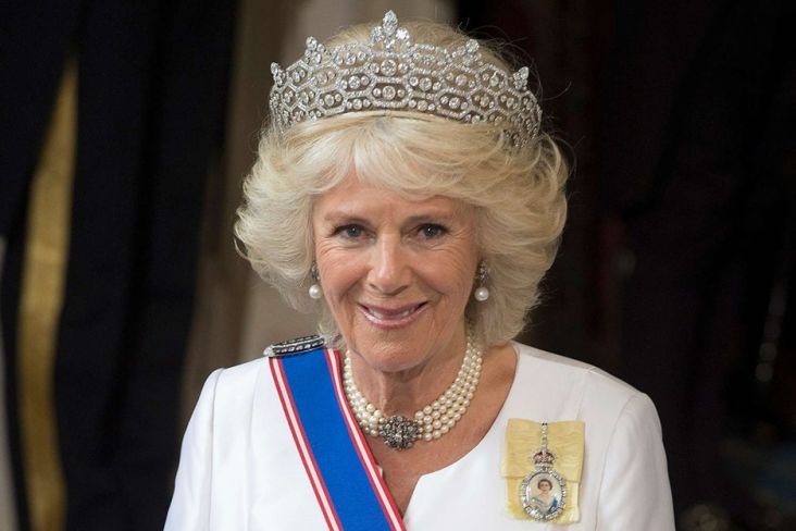 Ratu Camilla Simpan Dendam Mendalam pada Pangeran Harry, Hubungan Memburuk