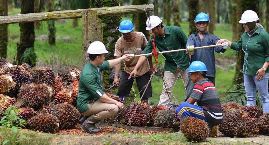 Astra Agro Lestari AALI